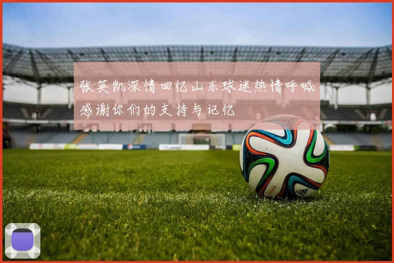张英凯深情回忆山东球迷热情呼喊感谢你们的支持与记忆